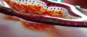 fused glass bowl with pink and red and brown spots