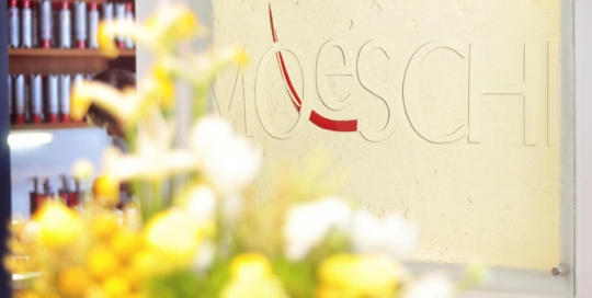 slumped glass business sign moeschi