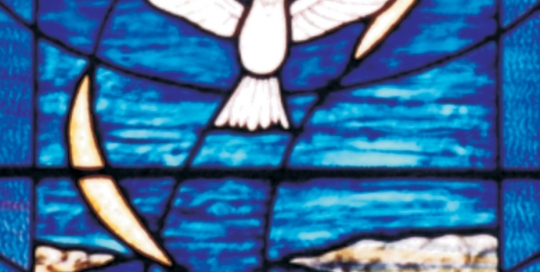 close up of dove in blue sky stained glass
