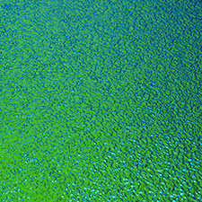 emerald green moss dichroic glass