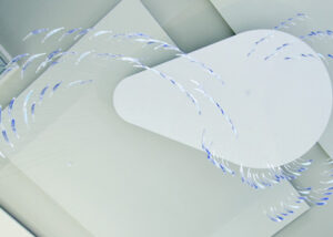 fish school hanging from ceiling