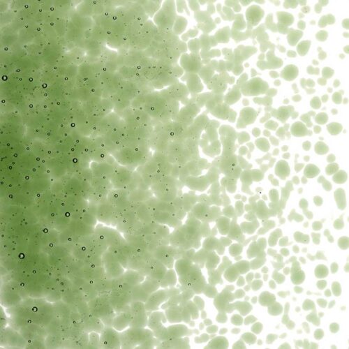 BEF1141 - COE 90 Olive Green Transparent Frit - Image 4