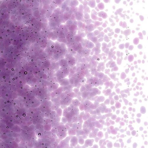 BEF1234 - COE 90 Violet Striker Transparent Frit - Image 4